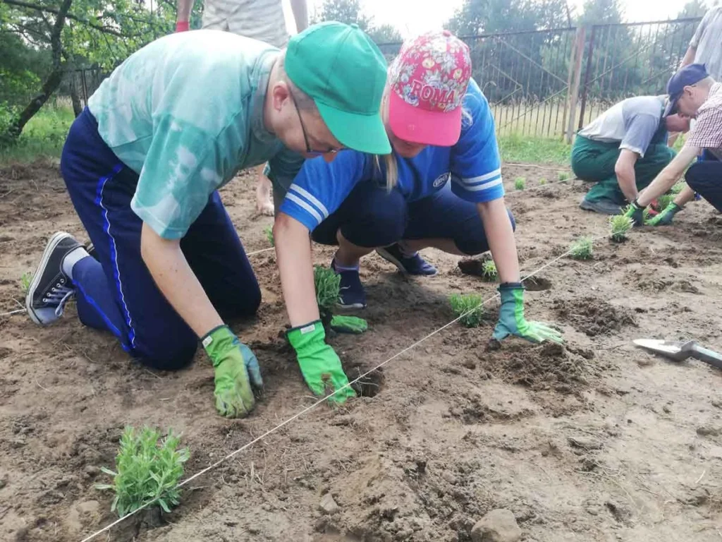 Uczestnicy Pracowni Ogrodniczej sadzą młode rośliny na przygotowanym polu.